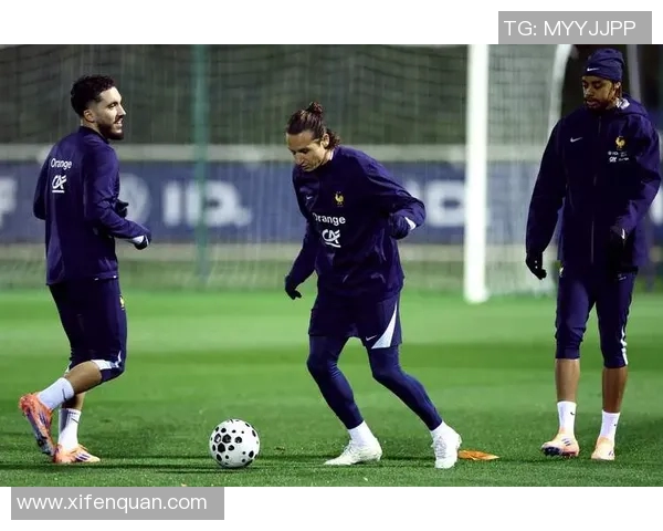 法国足球比赛精彩回顾与未来展望球迷热情与球队表现的完美结合