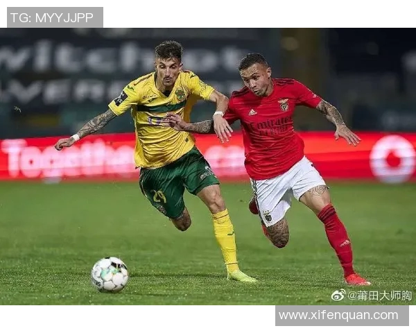 迪纳摩与马里迪莫激战正酣足球盛宴引发球迷热潮 迪纳摩与马里迪莫激战正酣足球盛宴引发球迷热潮