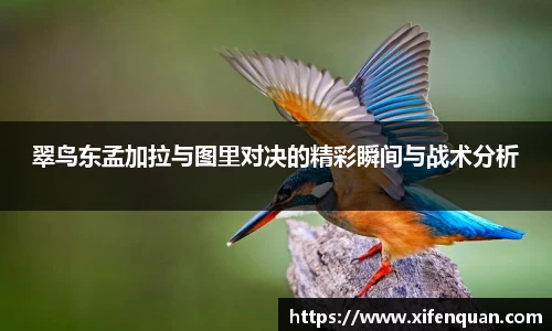 爱游戏ayx